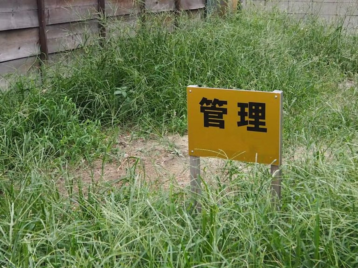 30坪の土地におすすめの土地活用方法｜選び方から儲かるポイントまで解説