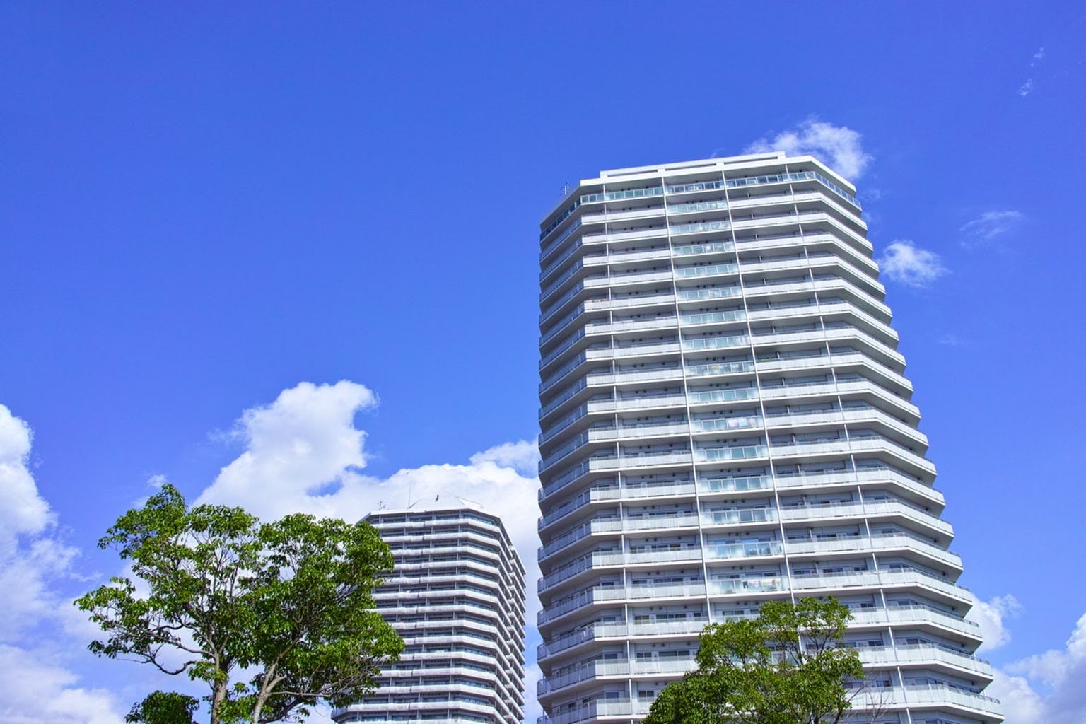 マンション デベロッパー
